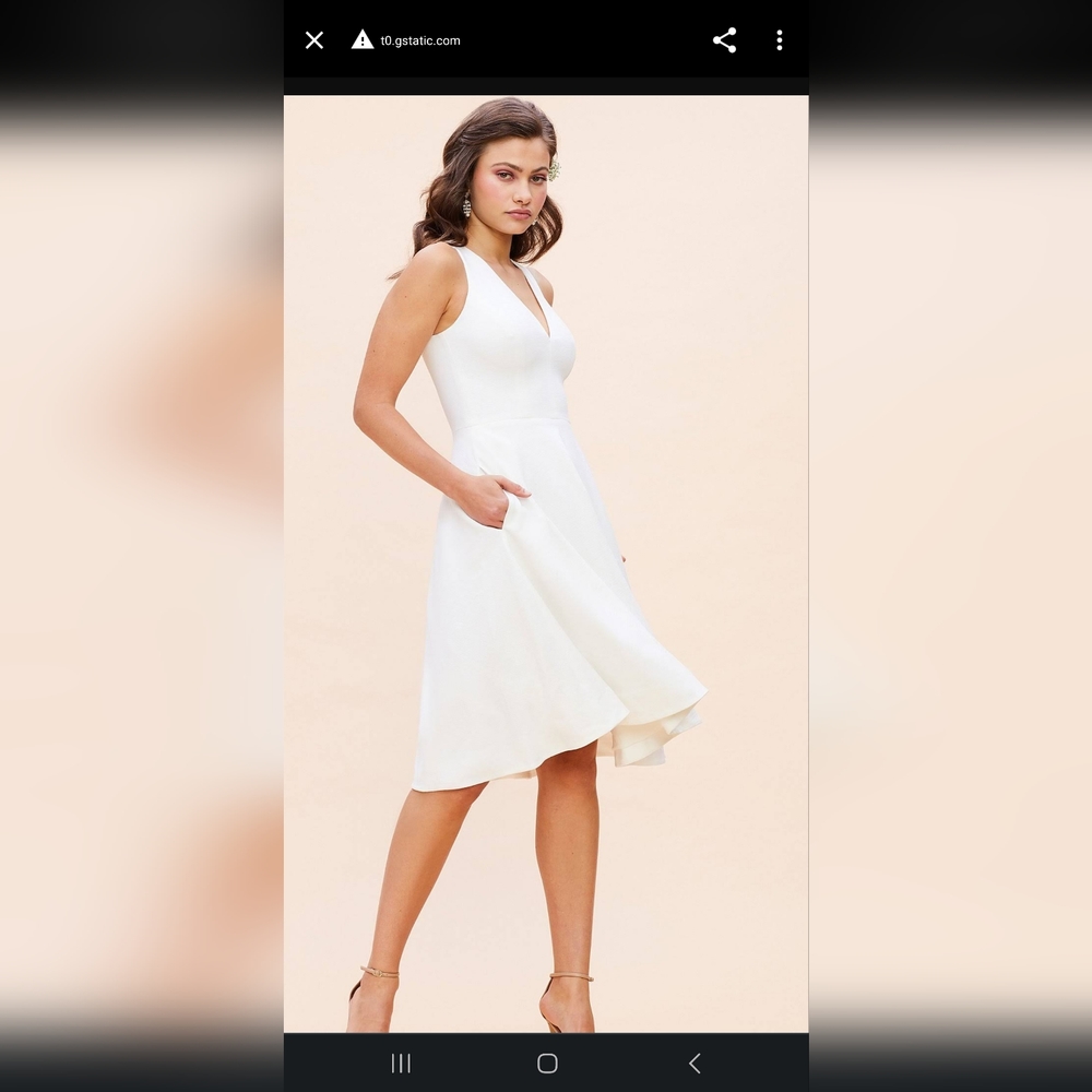 Dress the population Catalina Fit & Flare Cocktail Dress